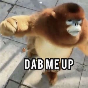 Meet your Posher, Joaquin